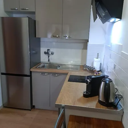 Pansion Ivana 公寓 巴什卡沃达