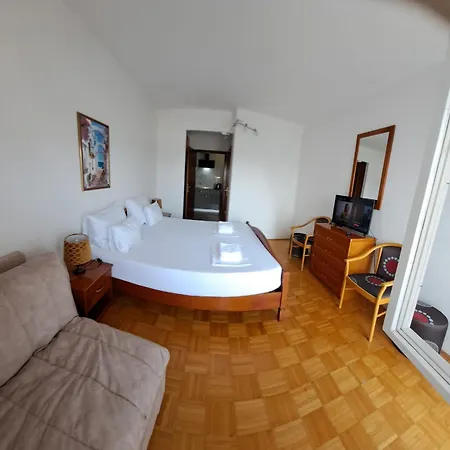 Pansion Ivana 公寓 *