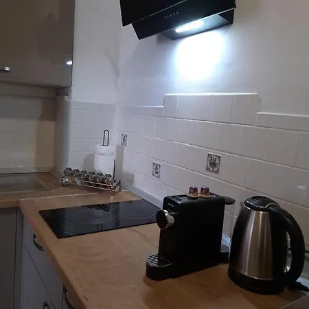 Pansion Ivana 公寓 巴什卡沃达