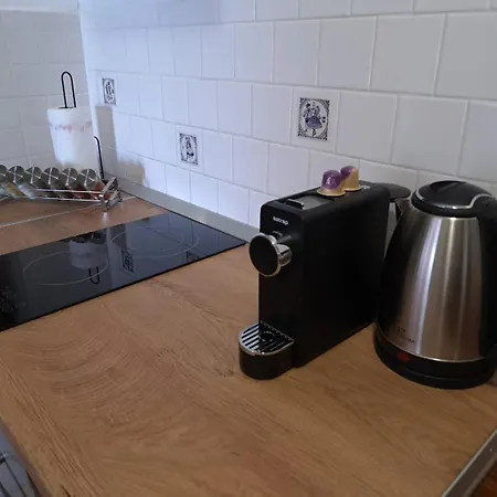 Pansion Ivana * 巴什卡沃达